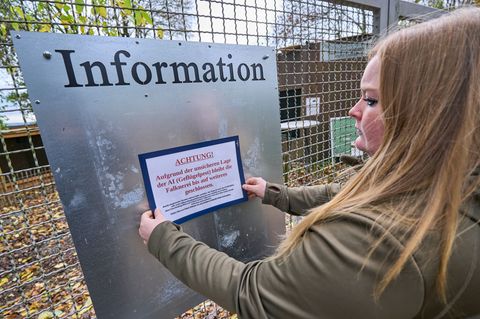 Unter Tierbesitzern geht die Angst um. Foto: Sascha Ditscher/dpa
