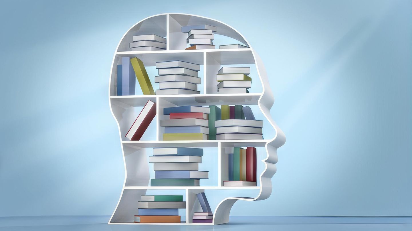 Verhaltenspsychologie: Wie wir Ordnung ins Leben bringen – und dauerhaft halten