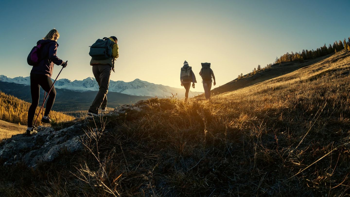 J. Peirano: Der geheime Code der Liebe: Ich wurde im Urlaub von meiner Reisegruppe ausgestoßen