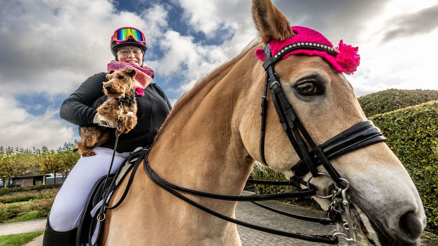 Hunde- und Pferdefans können sich drei Tage lang zu Themen wie Gesundheit und Pflege informieren. Foto: Dieter Menne/dpa Hunde- und Pferdefans können sich drei Tage lang zu Themen wie Gesundheit und Pflege informieren. Foto: Dieter Menne/dpa