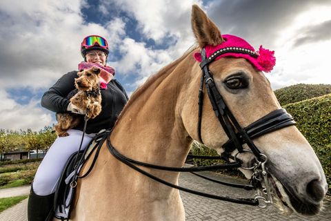 Hunde- und Pferdefans können sich drei Tage lang zu Themen wie Gesundheit und Pflege informieren. Foto: Dieter Menne/dpa