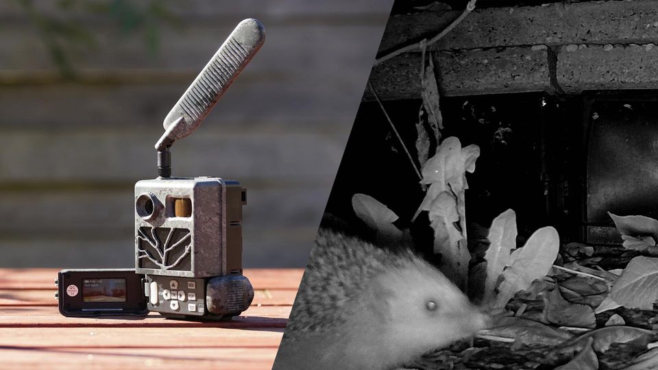 Wildkamera Test: Zeiss Secacam 3 mit einfacher Einrichtung