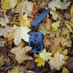 Wildkamera Test: Nicht immer passt die Tarnung zur Natur