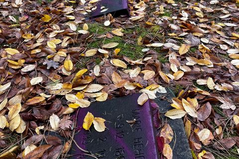 Unbekannte haben Dutzende Kriegsgräber auf dem Friedhof Reinickendorf beschmiert. Foto: Bezirksamt Reinickendorf/dpa