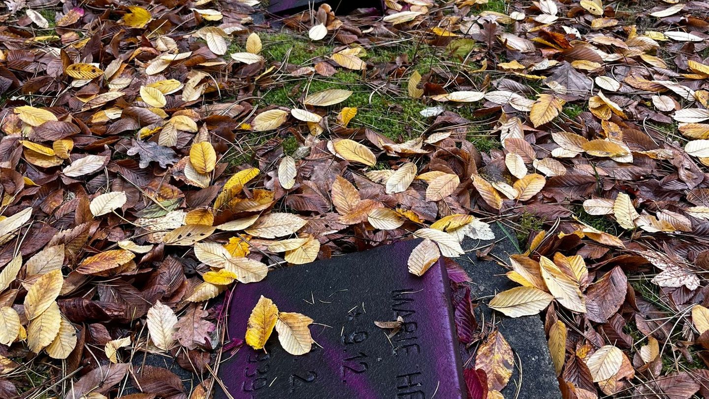 Unbekannte haben Dutzende Kriegsgräber auf dem Friedhof Reinickendorf beschmiert. Foto: Bezirksamt Reinickendorf/dpa Unbekannte haben Dutzende Kriegsgräber auf dem Friedhof Reinickendorf beschmiert. Foto: Bezirksamt Reinickendorf/dpa