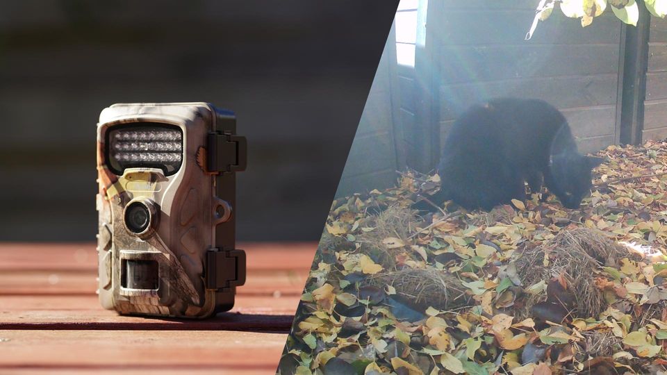 Wildkamera Test: Rollei HD-30 Linse reflektiert