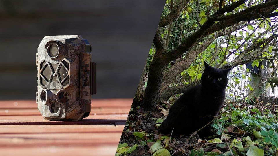 Wildkamera Test: Braun Scouting Cam500 mit hoher Bildqualität
