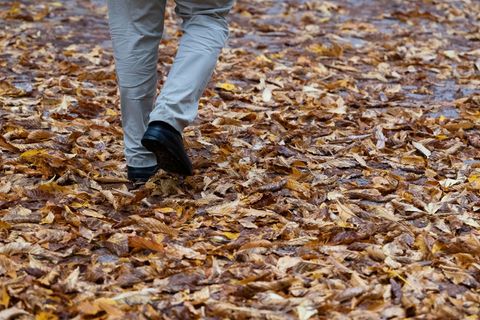 Zu nass und zu trüb war der Oktober im Südwesten, so die Bilanz des Deutschen Wetterdienstes. (Archivbild) Foto: Marijan Murat/d