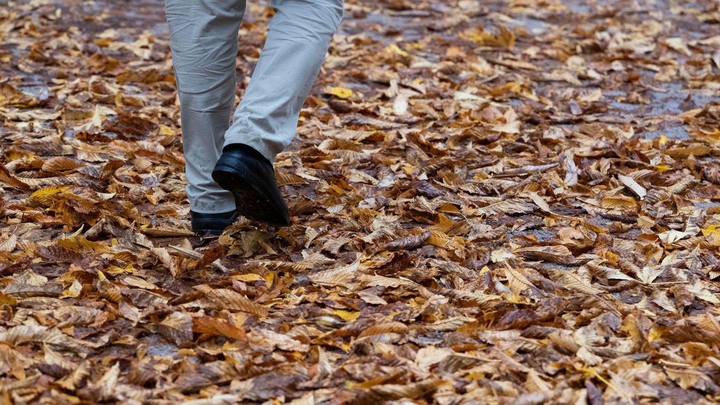 Zu nass und zu trüb war der Oktober im Südwesten, so die Bilanz des Deutschen Wetterdienstes. (Archivbild) Foto: Marijan Murat/d Zu nass und zu trüb war der Oktober im Südwesten, so die Bilanz des Deutschen Wetterdienstes. (Archivbild) Foto: Marijan Murat/d
