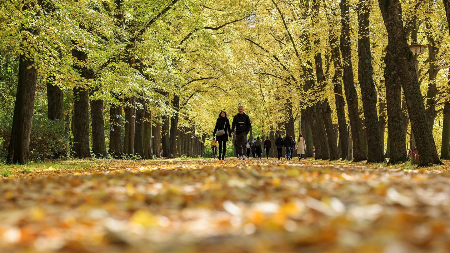 Bilanz des DWD: Warmer Oktober in Sachsen-Anhalt