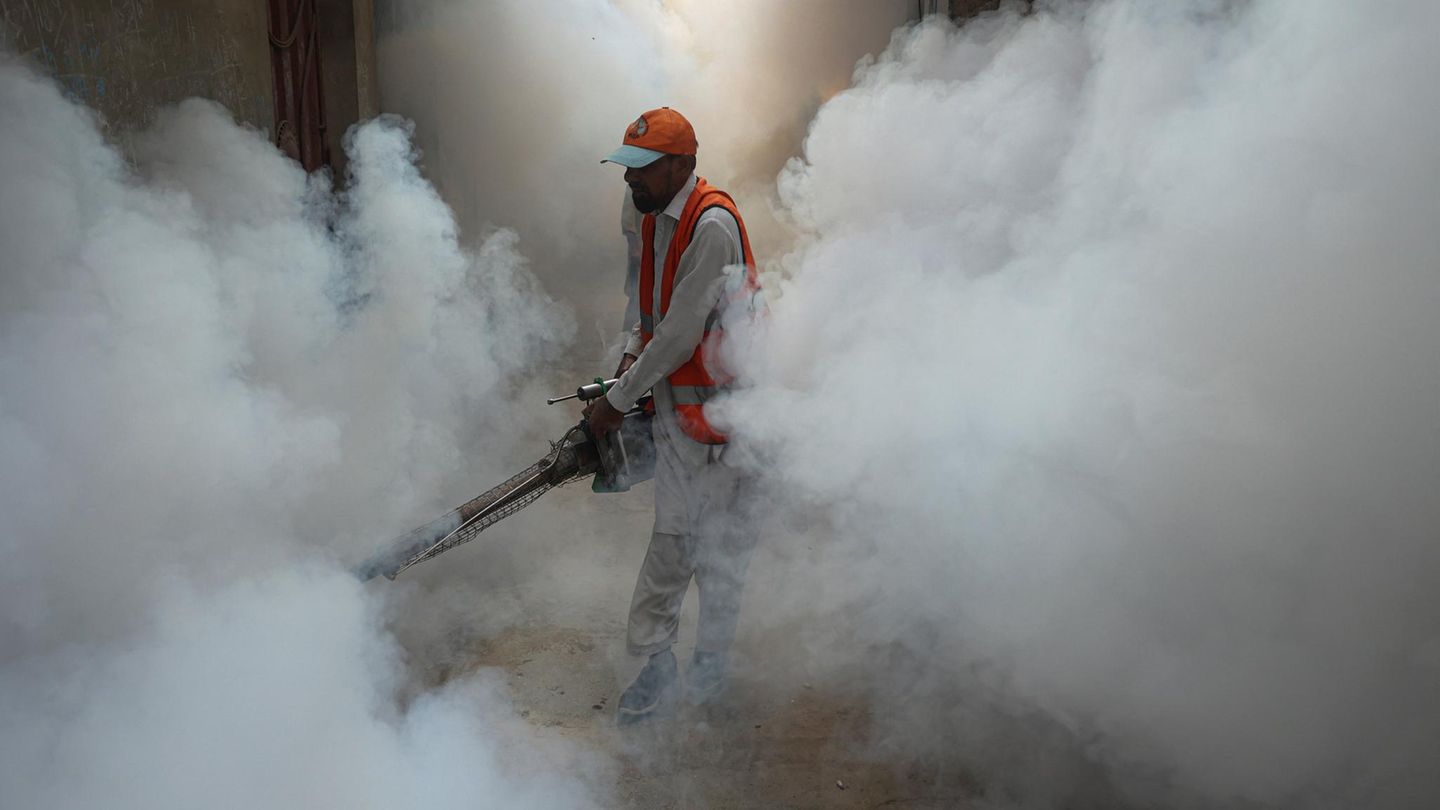 30. Oktober: Volldampf gegen das Dengue-Fieber Peshawar, Pakistan. Ein Arbeiter sprüht Begasungsdampf, um die Ausbreitung des Dengue-Virus einzudämmen. Hoffentlich gefährdet der Dampf nicht auch die Gesundheit des Arbeiters, denn einen Atemschutz trägt er offenbar nicht