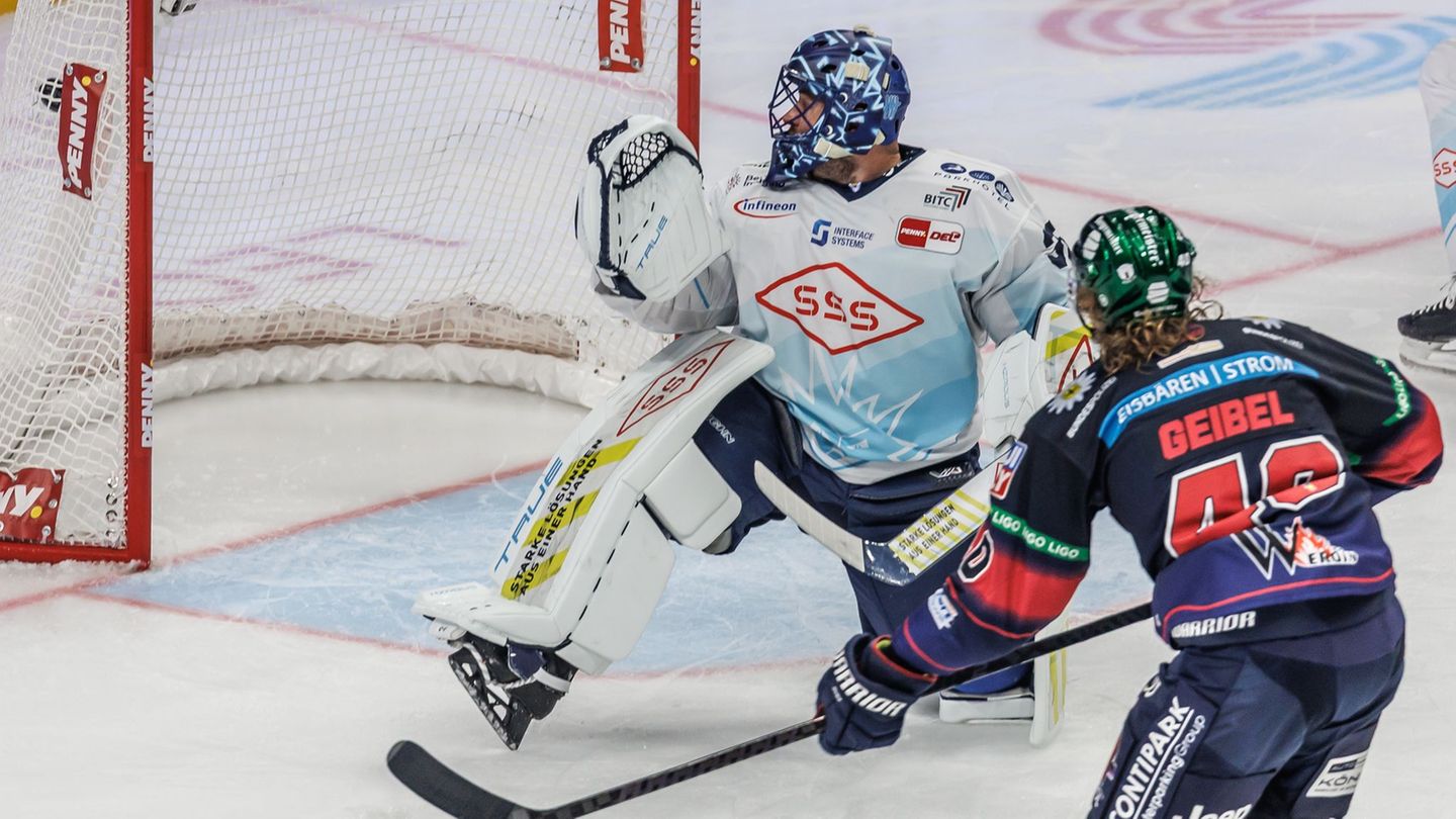 Transfer in der DEL: Zugang aus Dresden: Keeper Hudacek wechselt nach Bremerhaven