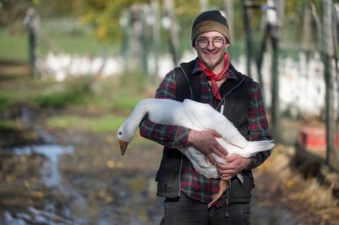 Angesichts der steigenden Fallzahlen von Vogelgrippe macht sich der 23-jährige Landwirt Nils Mann auch Sorgen um die eigenen Tie Angesichts der steigenden Fallzahlen von Vogelgrippe macht sich der 23-jährige Landwirt Nils Mann auch Sorgen um die eigenen Tie