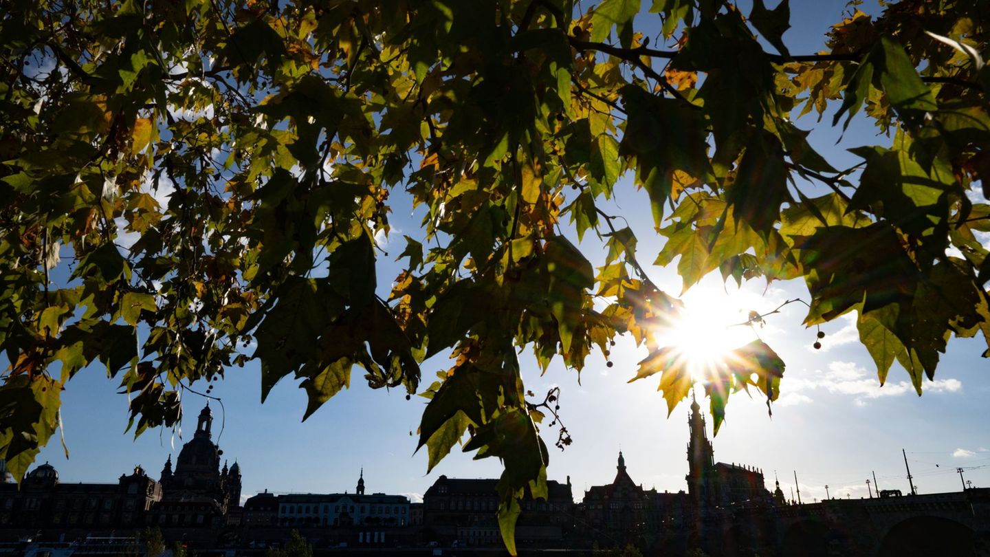 Wetter zum Genießen erwartet die Menschen am verlängerten Wochenende. (Archivbild) Foto: Robert Michael/dpa Wetter zum Genießen erwartet die Menschen am verlängerten Wochenende. (Archivbild) Foto: Robert Michael/dpa
