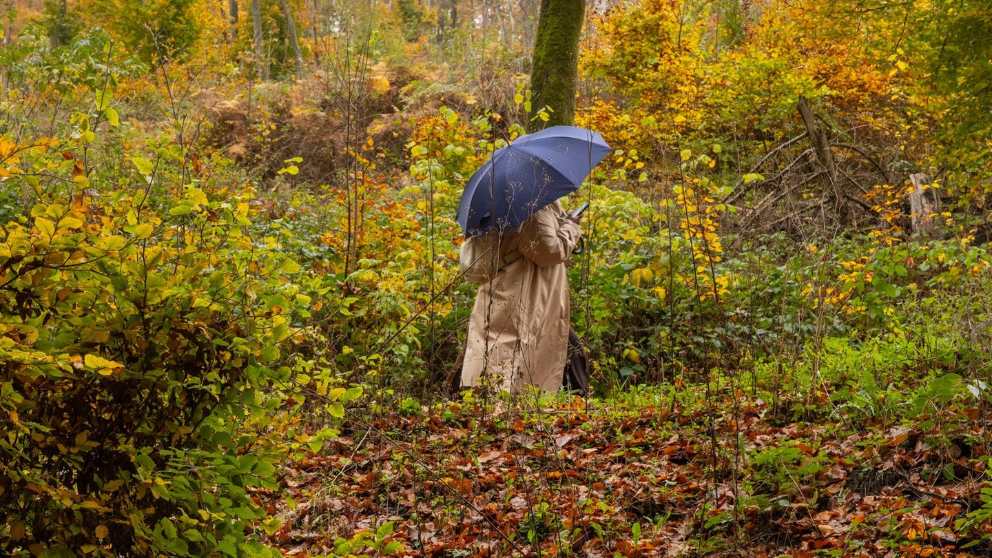 Am Wochenende sollten die Menschen in Hessen den Regenschirm einpacken. (Symbolbild) Foto: Helmut Fricke/dpa Am Wochenende sollten die Menschen in Hessen den Regenschirm einpacken. (Symbolbild) Foto: Helmut Fricke/dpa