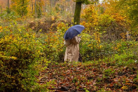 Am Wochenende sollten die Menschen in Hessen den Regenschirm einpacken. (Symbolbild) Foto: Helmut Fricke/dpa