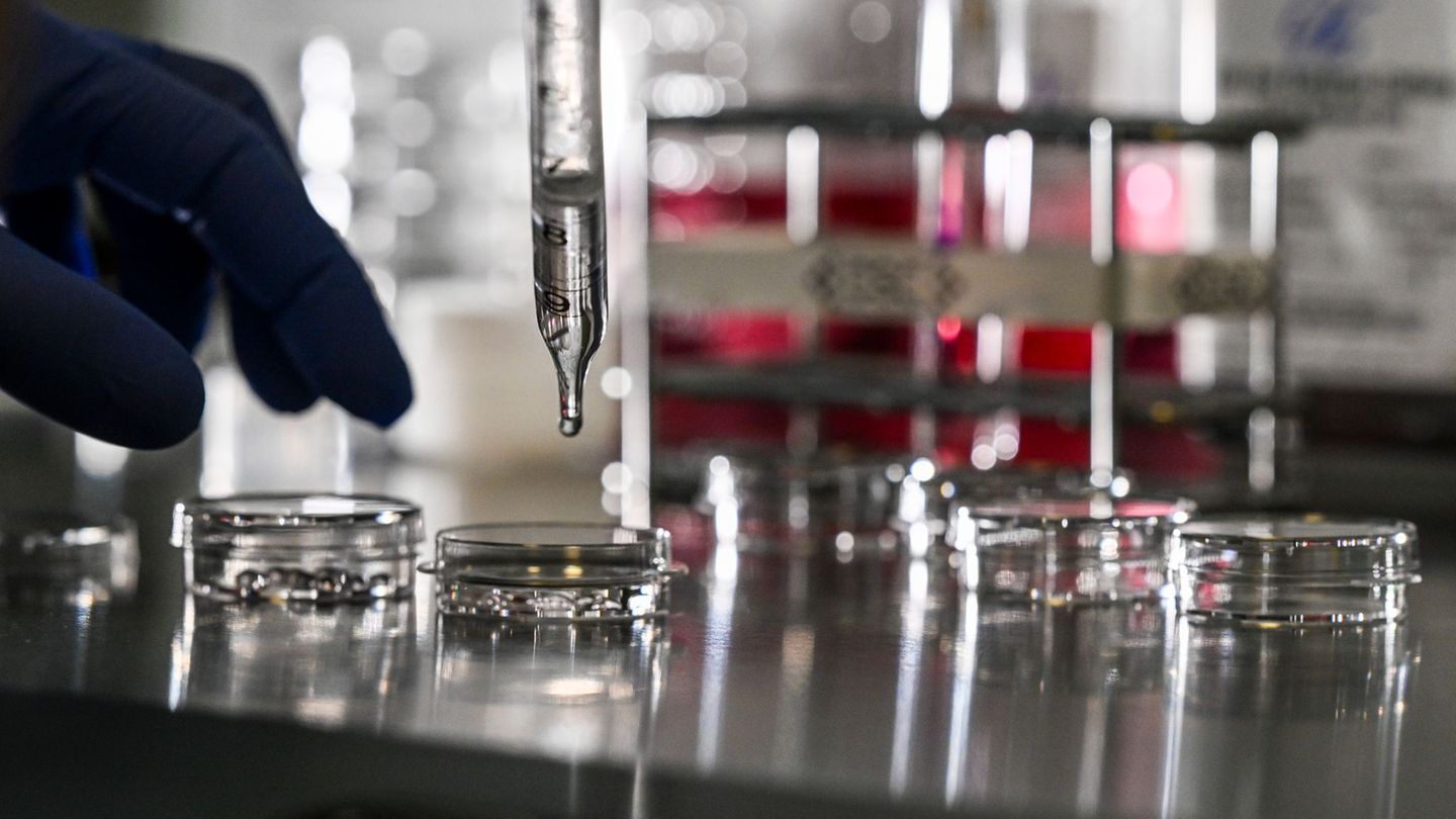 Die Berlin Science Week läuft vom 1. bis zum 10. November. (Symbolbild) Foto: Jens Kalaene/dpa Die Berlin Science Week läuft vom 1. bis zum 10. November. (Symbolbild) Foto: Jens Kalaene/dpa