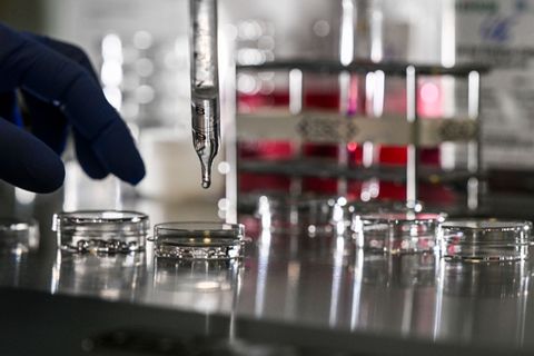 Die Berlin Science Week läuft vom 1. bis zum 10. November. (Symbolbild) Foto: Jens Kalaene/dpa