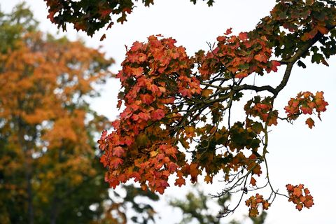 Das Wetter am langen Wochenende wird in Niedersachsen und Bremen wechselhaft und mild. (Symbolbild) Foto: Shireen Broszies/dpa