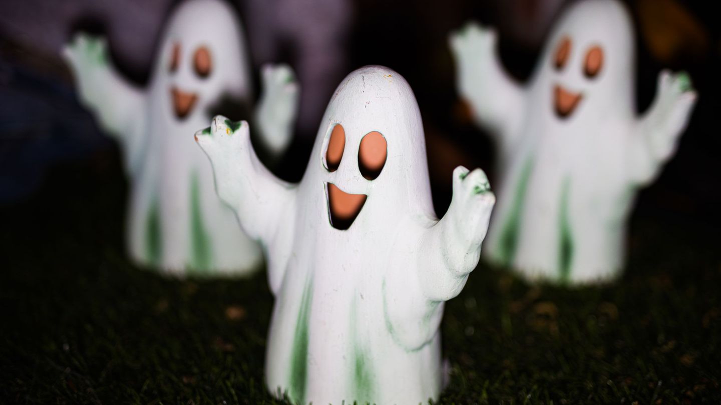 In Wörbzig wurden Geister geklaut. (Symbolbild) Foto: Moritz Frankenberg/dpa In Wörbzig wurden Geister geklaut. (Symbolbild) Foto: Moritz Frankenberg/dpa