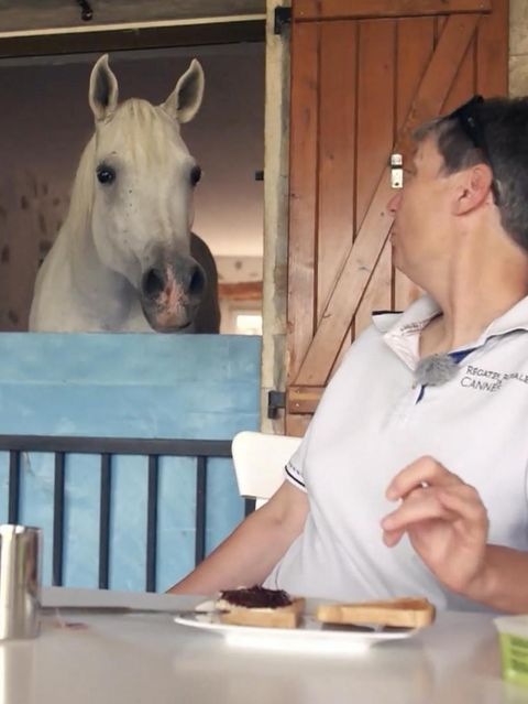 Stephanie Arndt dreht sich am Frühstückstisch um, und macht ihrem Pferd erstmal einen Toast.