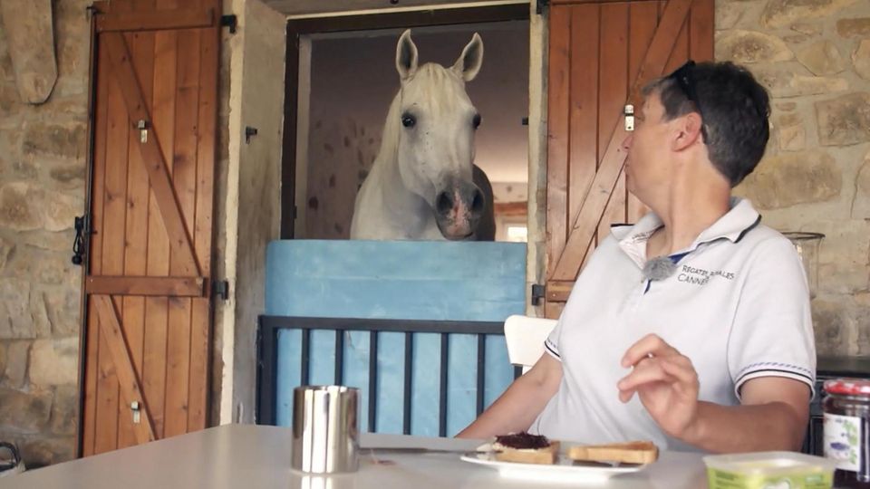 Frau lebt mit Pferd Nasar im Wohnzimmer ihrer spanischen Finca Stephanie Arndt dreht sich am Frühstückstisch um, und macht ihrem Pferd erstmal einen Toast.