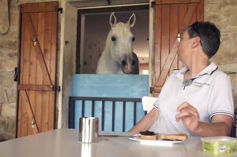 Stephanie Arndt dreht sich am Frühstückstisch um, und macht ihrem Pferd erstmal einen Toast.