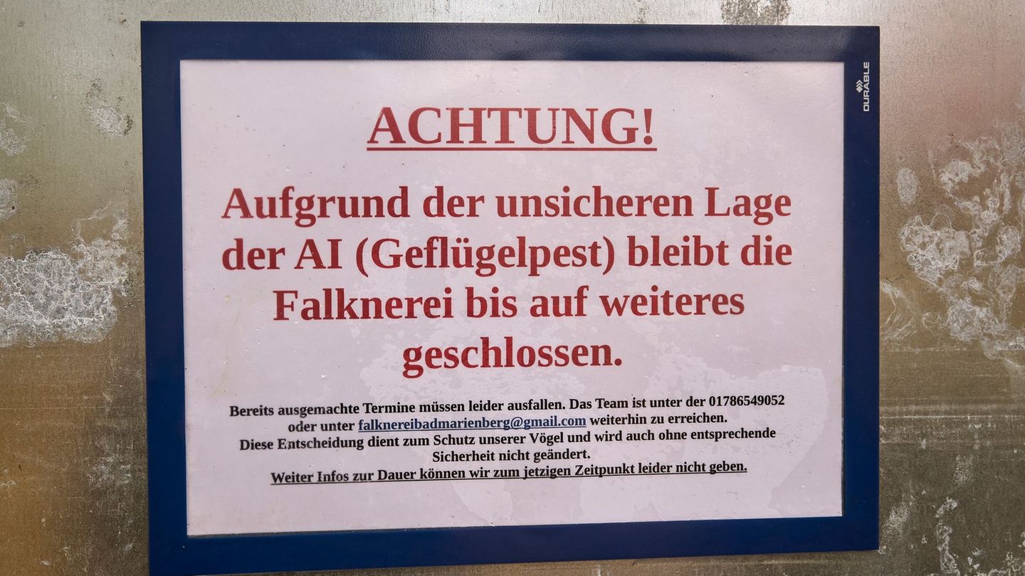 Einen Nachweis der Geflügelpest gibt es mittlerweile in fast allen Landkreisen in Rheinland-Pfalz. (Archivbild) Foto: Sascha Dit
