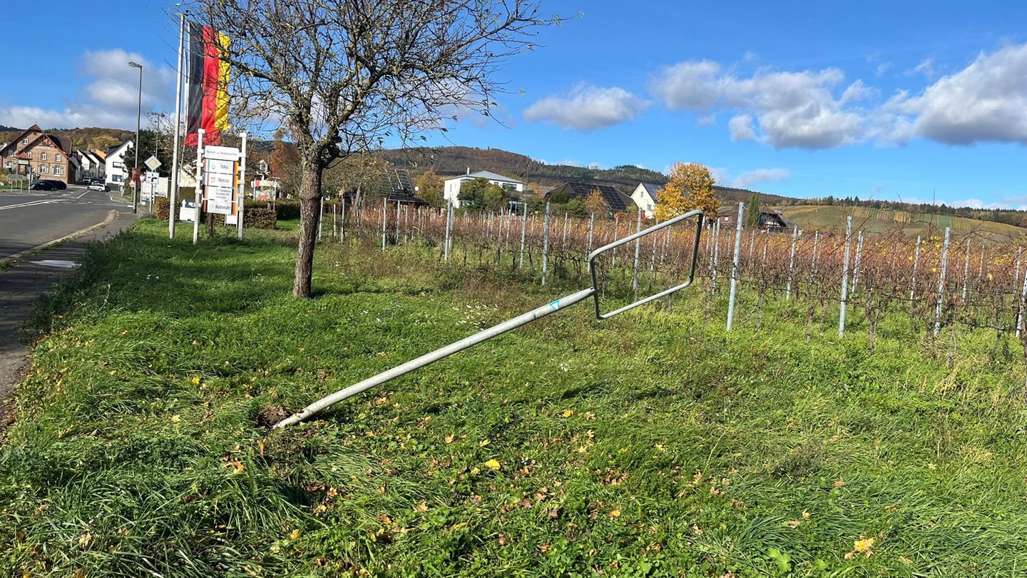 Unter anderem dieses Ortsschild in Oestrich-Winkel wurde gestohlen. Foto: Stadt Oestrich-Winkel/dpa