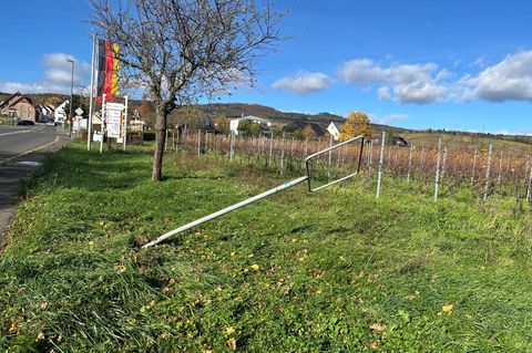Unter anderem dieses Ortsschild in Oestrich-Winkel wurde gestohlen. Foto: Stadt Oestrich-Winkel/dpa