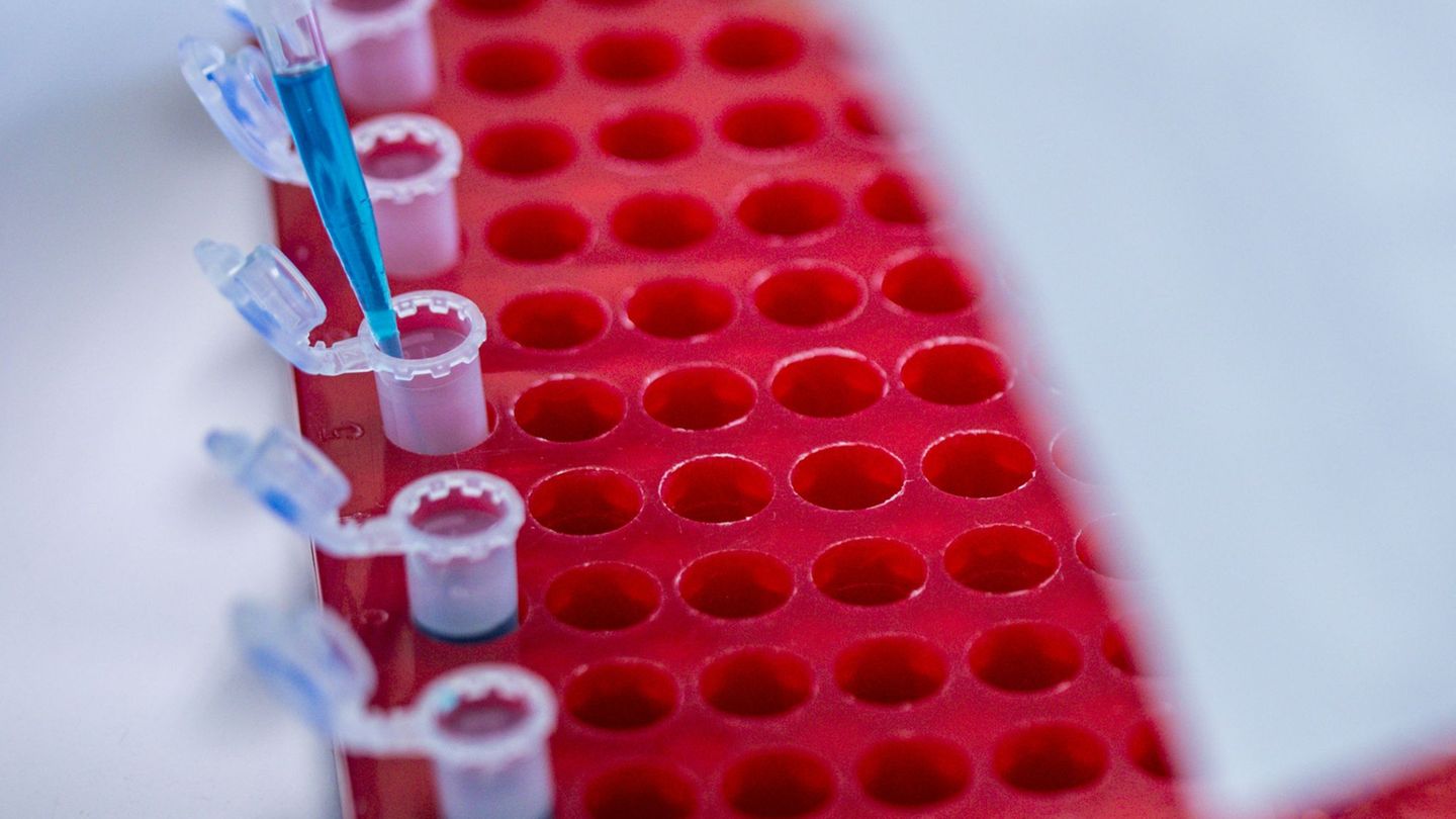 Die Berlin Science Week läuft bis zum 10. November. (Symbolbild) Foto: Jens Büttner/dpa