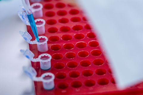 Die Berlin Science Week läuft bis zum 10. November. (Symbolbild) Foto: Jens Büttner/dpa