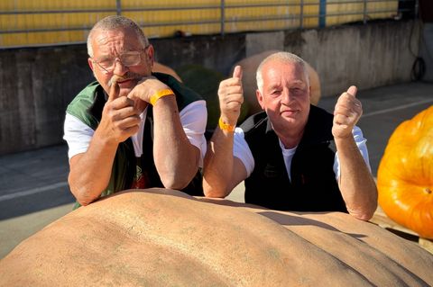 Michael Schade und Bernd Paul aus Beelitz sind die Sieger der diesjährigen Kürbis-Wiegemeisterschaft in Brandenburg und knackten