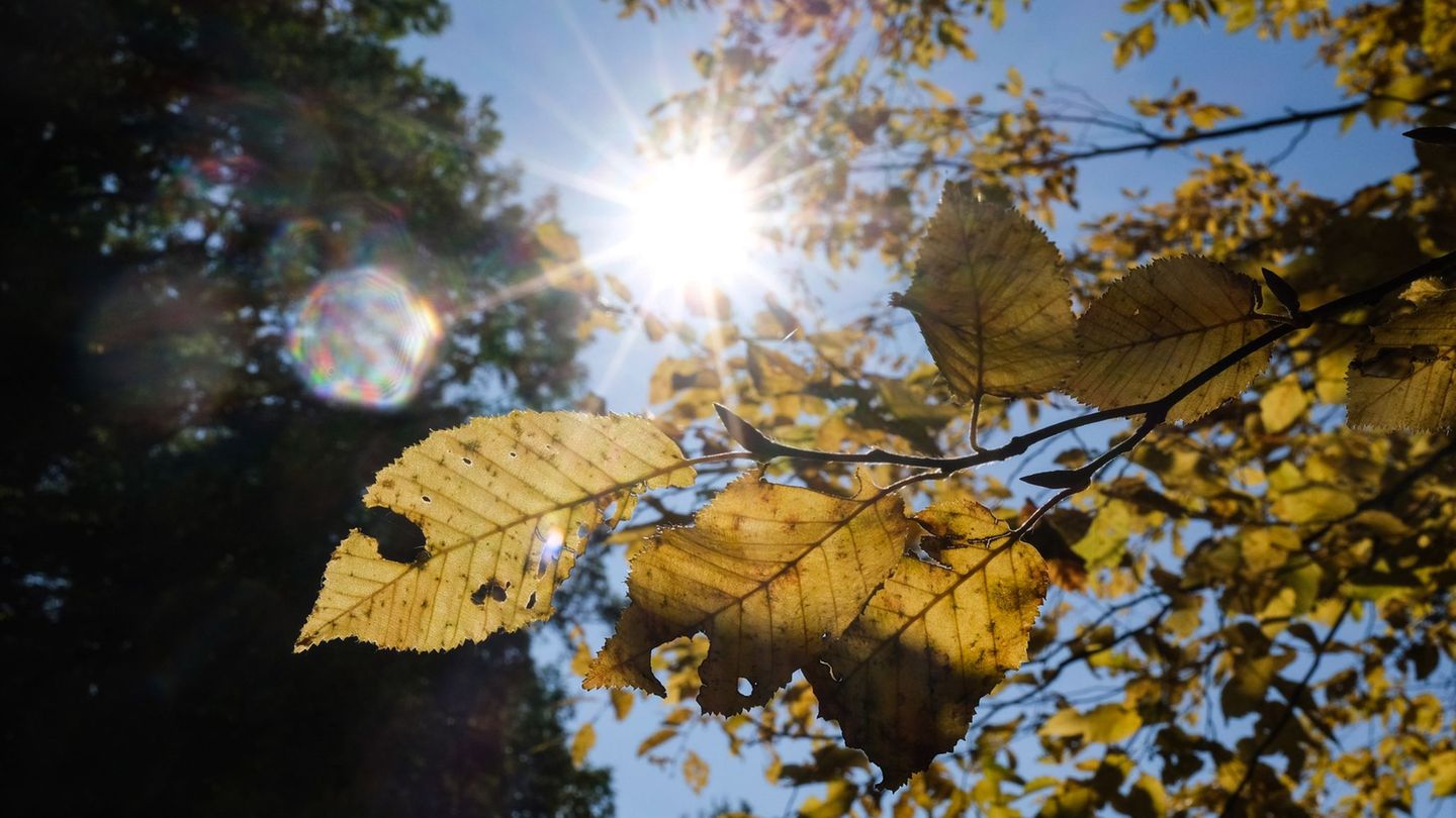 Allerheiligen startet freundlich. Foto: Bernd Weißbrod/dpa Allerheiligen startet freundlich. Foto: Bernd Weißbrod/dpa