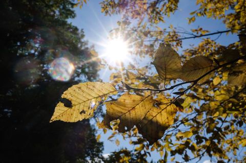 Allerheiligen startet freundlich. Foto: Bernd Weißbrod/dpa