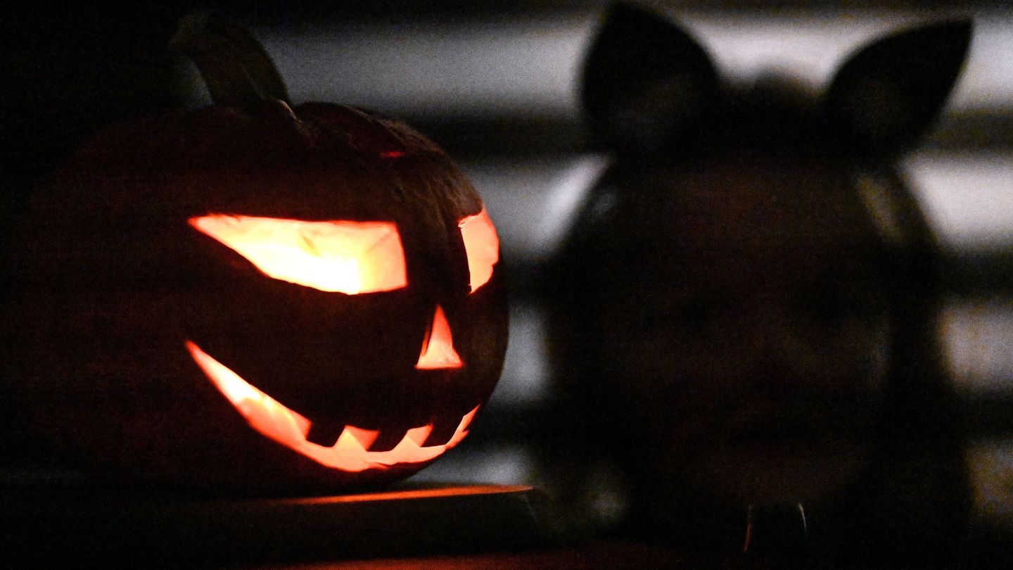 In Schleswig-Holstein fielen die Halloween-Feierlichkeiten friedlich aus. (Symbolbild) Foto: Swen Pförtner/dpa In Schleswig-Holstein fielen die Halloween-Feierlichkeiten friedlich aus. (Symbolbild) Foto: Swen Pförtner/dpa