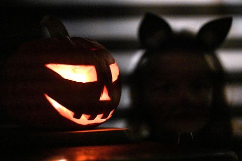 In Schleswig-Holstein fielen die Halloween-Feierlichkeiten friedlich aus. (Symbolbild) Foto: Swen Pförtner/dpa