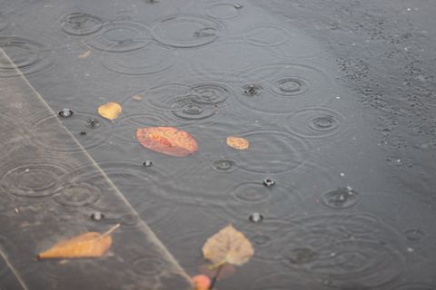 Die Schauer nehmen im Tagesverlauf laut DWD zu. (Symbolbild) Foto: Sascha Thelen/dpa