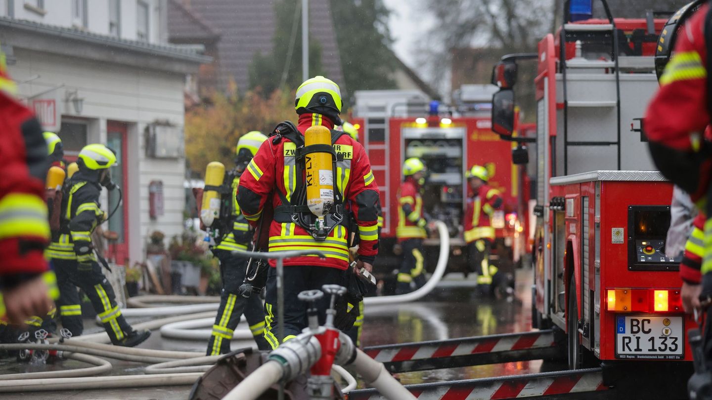 Feuerwehrleute haben zwei Hunde aus dem Gebäude gerettet. Foto: Thomas Warnack/dpa