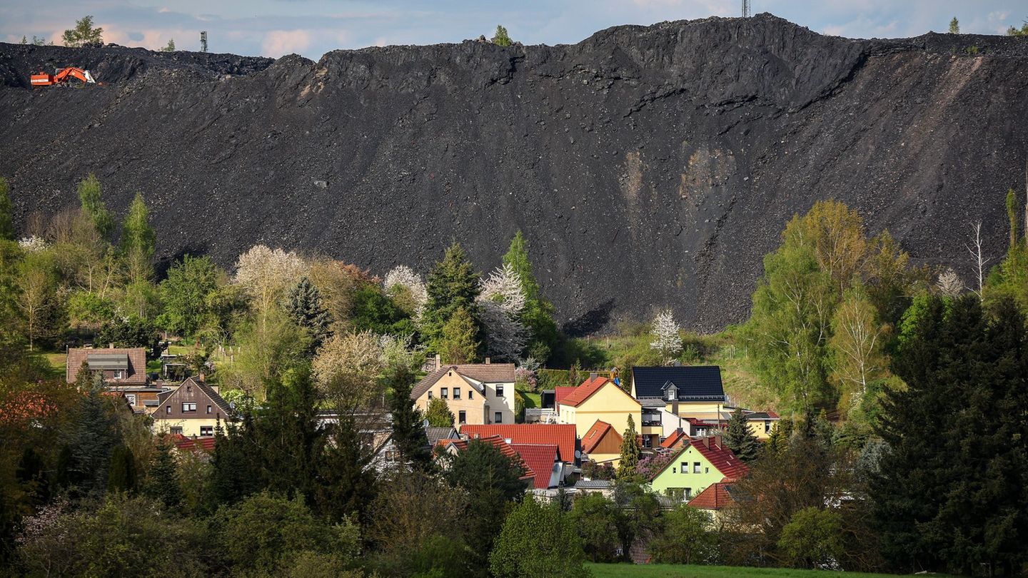 Die Mansfeld-Galerie ist digitalisiert worden. (Symbolbild) Foto: Jan Woitas/dpa