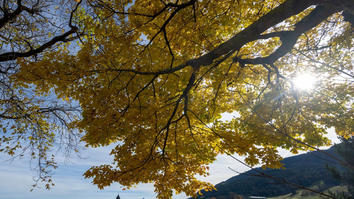 Auf mildes Herbstwetter am Samstag folgte am Sonntag vielerorts reichlich Regen. Foto: Stefan Puchner/dpa