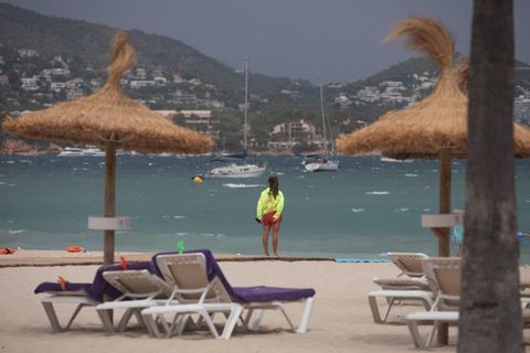 Niemand mehr da, der die Liegen reserviert? Immer mehr Deutsche verzichten auf Strandurlaub auf Mallorca