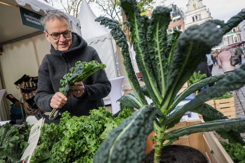 In Oldenburg wird der Beginn der Grünkohlsaison traditionell groß gefeiert. Foto: Focke Strangmann/dpa