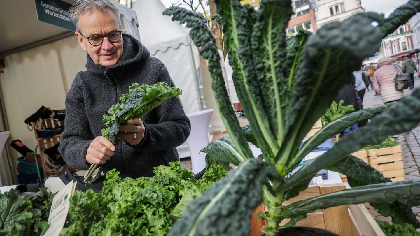 In Oldenburg wird der Beginn der Grünkohlsaison traditionell groß gefeiert. Foto: Focke Strangmann/dpa