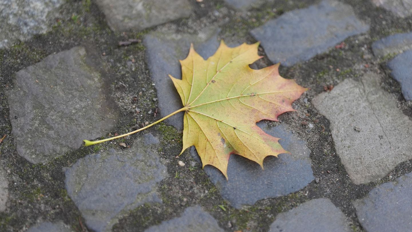 In der ersten Novemberwoche ist im Norden mit milden Temperaturen und einem grauen Himmel zu rechnen. (Archivbild) Foto: Marcus