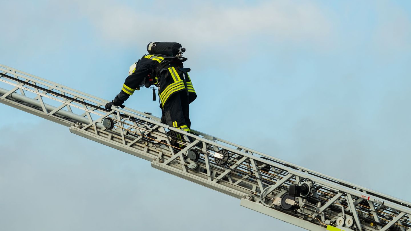 Mit der Drehleiter hat die Feuerwehr einen entflogenen Papagei vom Dach eines Hauses in Bocholt geholt. (Symbolbild) Foto: Andre