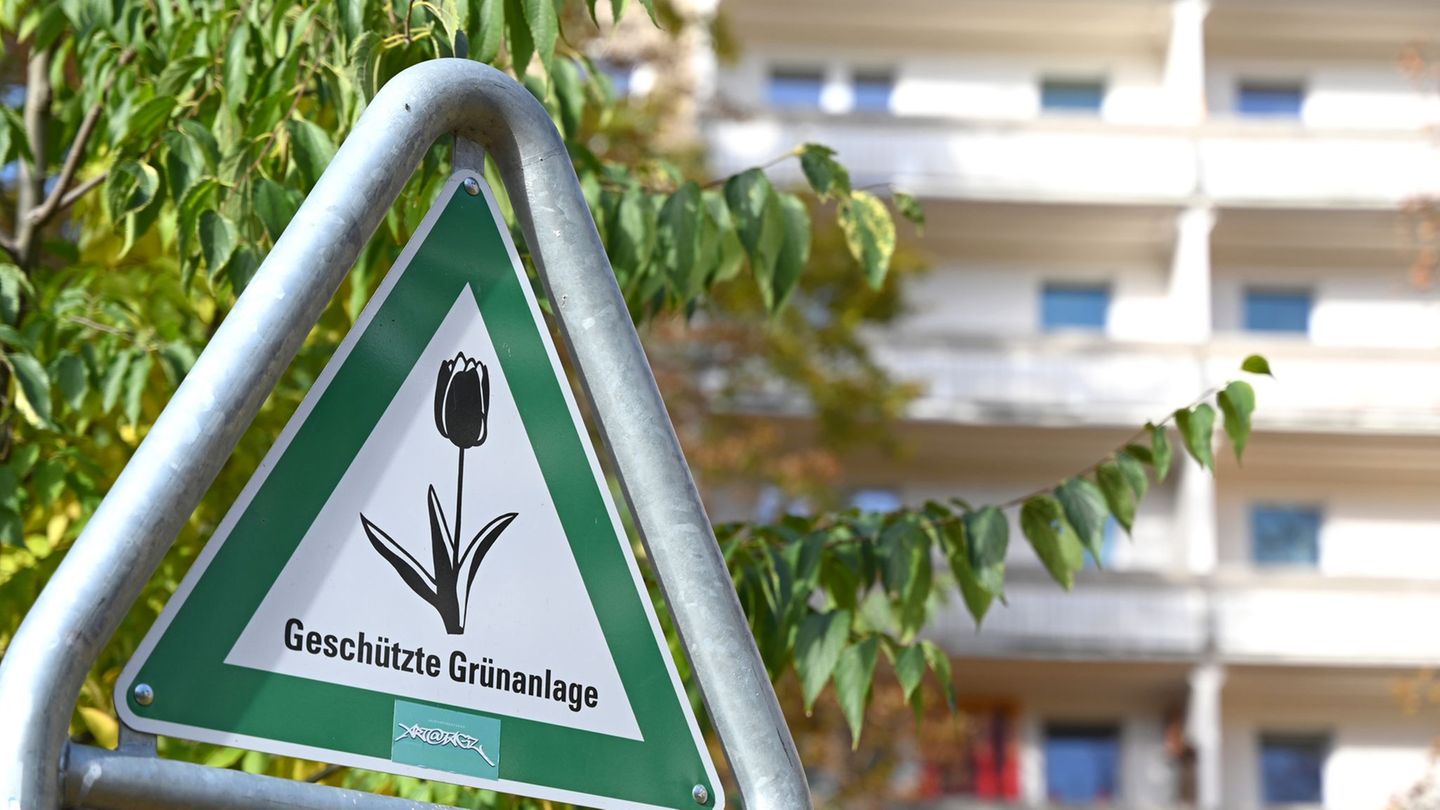 Laut dem neuen Klimaanpassungsgesetz soll es in Berlin mehr Bäume und mehr "Kühlinseln" in Form von Grünanlagen geben. Foto: Eli