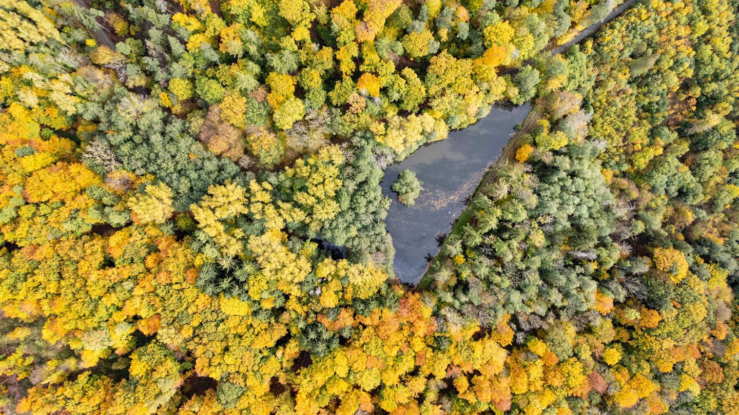 Bis zu 17 Grad und Sonne satt: Hessen startet mild in die Woche. (Archivbild) Foto: Boris Roessler/dpa