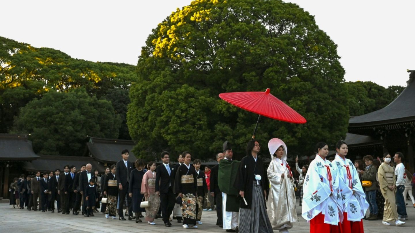 Hochzeitsgesellschaft