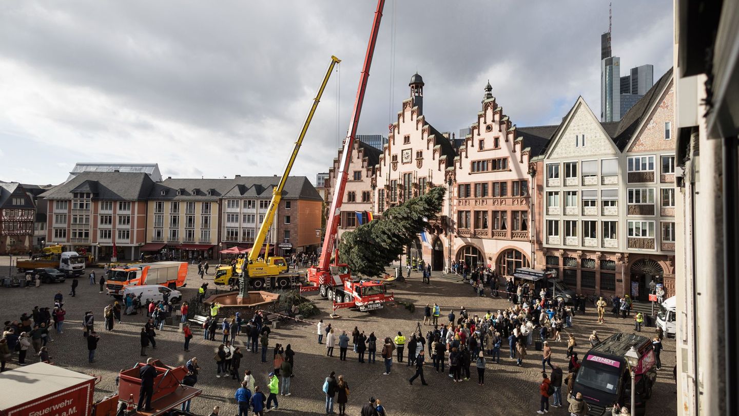 Im Aufbau: "Frau Holle" wird auf dem Frankfurter Römerberg in Position gebracht. Foto: Hannes Albert/dpa
